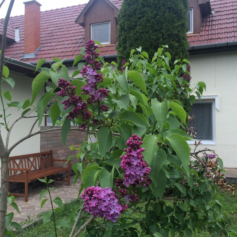 Ferienwohnung Harmonia Panzio Bogács Exterior foto